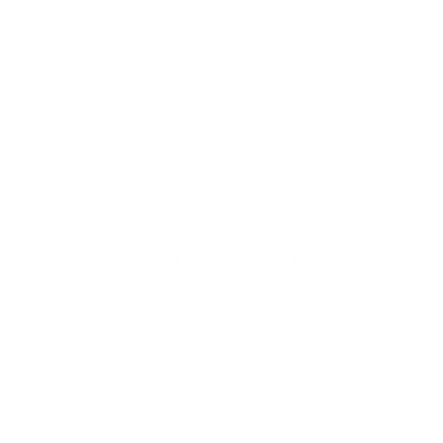 Truss Professional